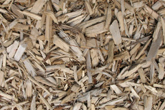 biomass boilers Braevallich